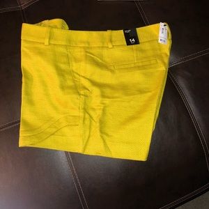 NWT 4” shorts The Limited Shorts